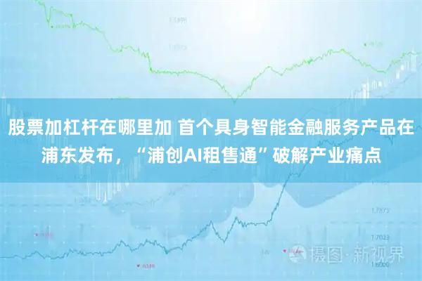 股票加杠杆在哪里加 首个具身智能金融服务产品在浦东发布，“浦创AI租售通”破解产业痛点