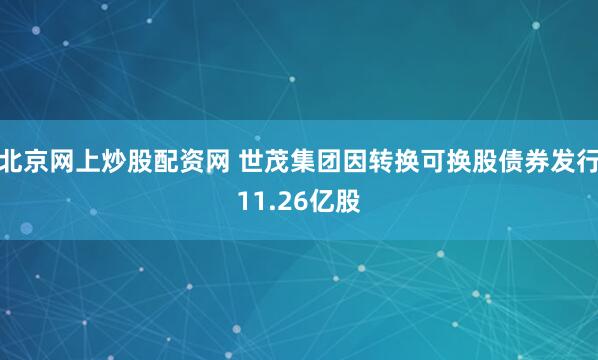 北京网上炒股配资网 世茂集团因转换可换股债券发行11.26亿股