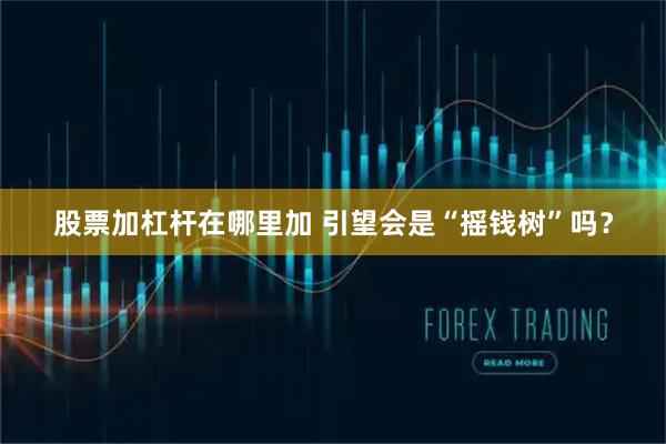 股票加杠杆在哪里加 引望会是“摇钱树”吗?