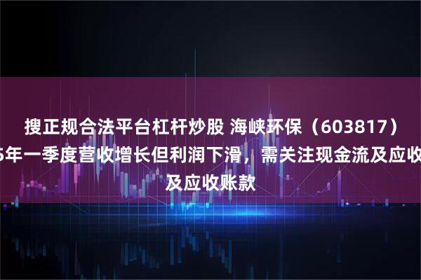 搜正规合法平台杠杆炒股 海峡环保（603817）2025年一季度营收增长但利润下滑，需关注现金流及应收账款