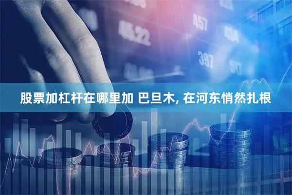 股票加杠杆在哪里加 巴旦木, 在河东悄然扎根