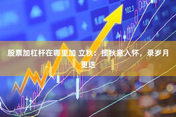 股票加杠杆在哪里加 立秋：揽秋意入怀，录岁月更迭