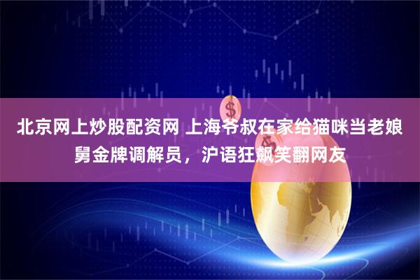 北京网上炒股配资网 上海爷叔在家给猫咪当老娘舅金牌调解员，沪语狂飙笑翻网友