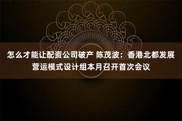 怎么才能让配资公司破产 陈茂波：香港北都发展营运模式设计组本月召开首次会议